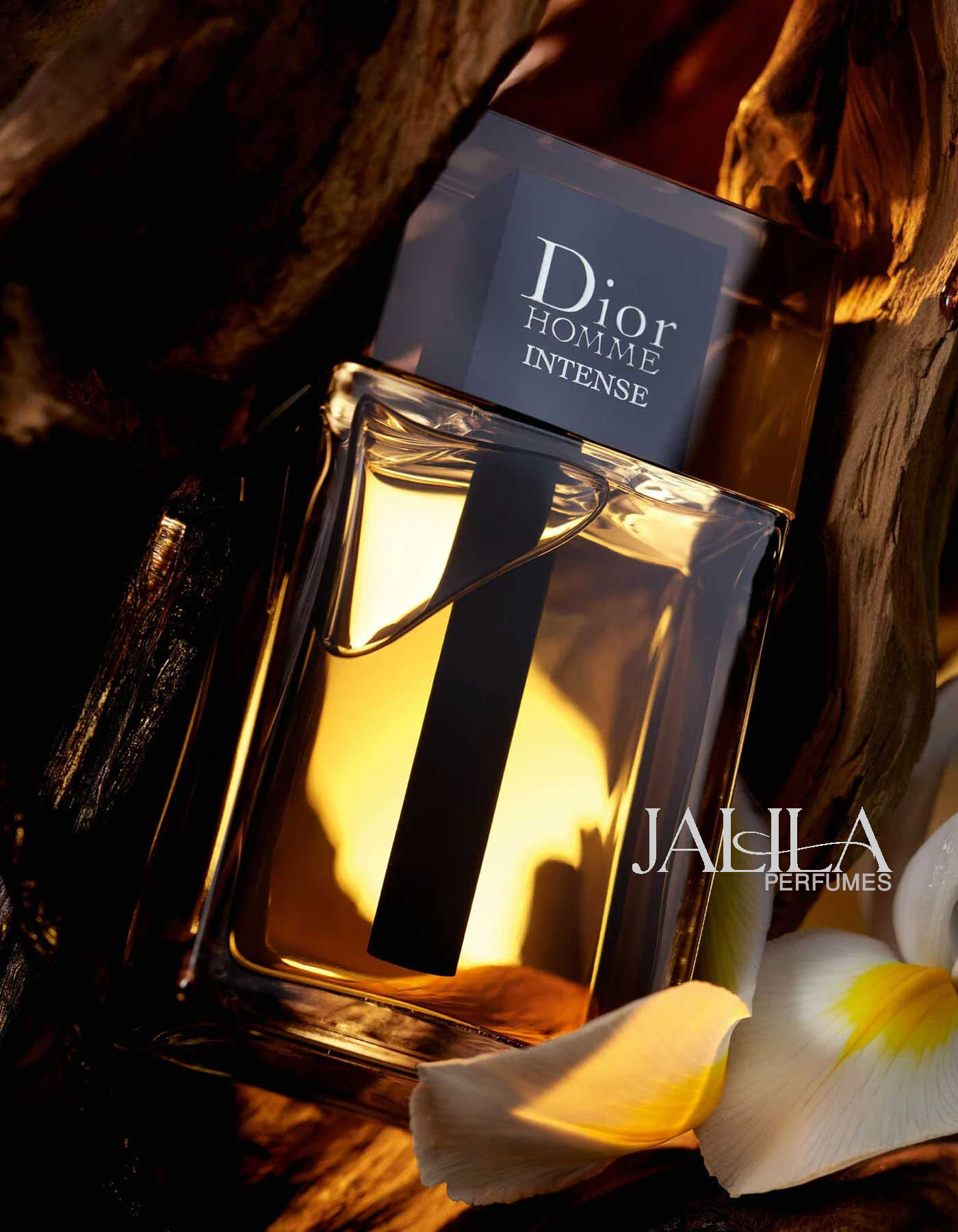 DIOR HOMME INTENSE FOR MEN EDP 100 ML | Jalila Perfumes